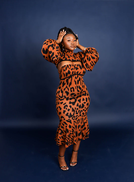 2 Piece Multi-Print Dress
